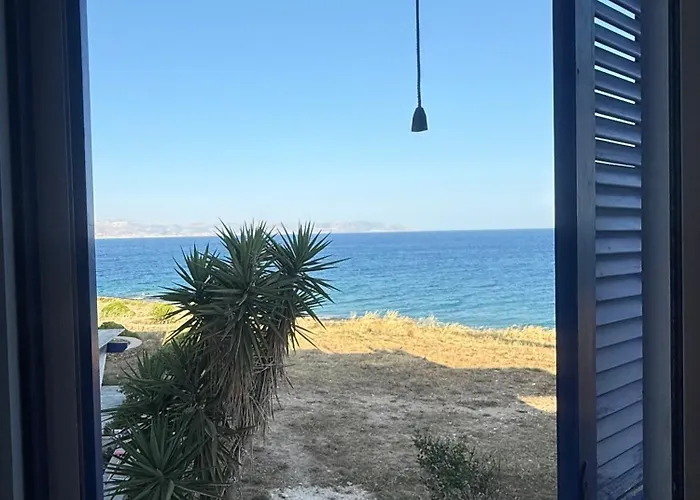 Coral Nest * Logarász