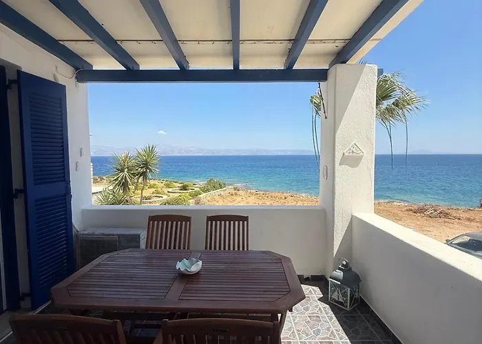 Coral Nest * Logarász