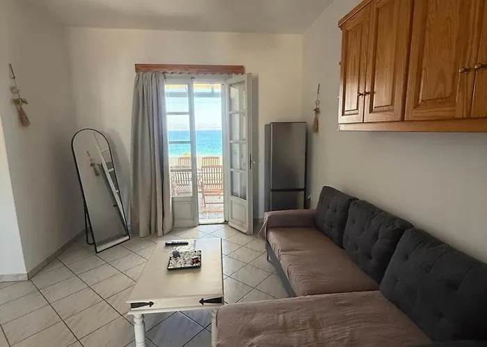 Coral Nest Logarász