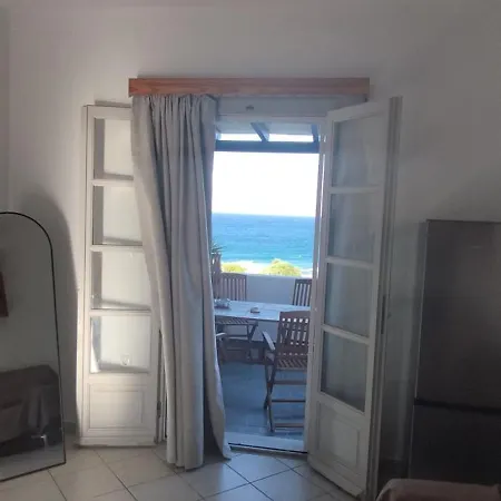 Coral Nest * Logaras