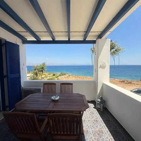 Coral Nest * Logaras