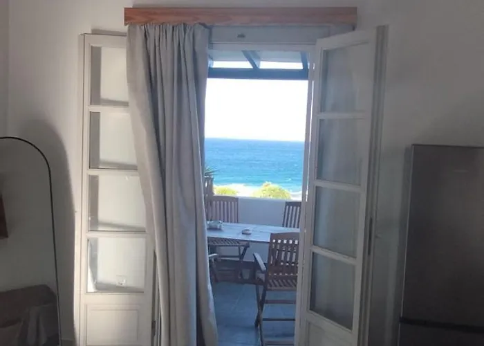 Coral Nest * Logaras